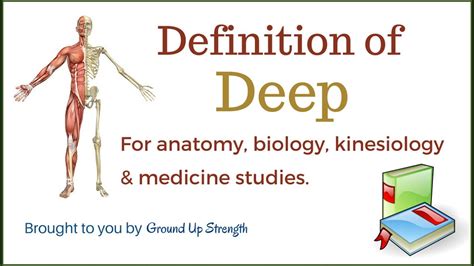 profunda ingles|deep definition medical.